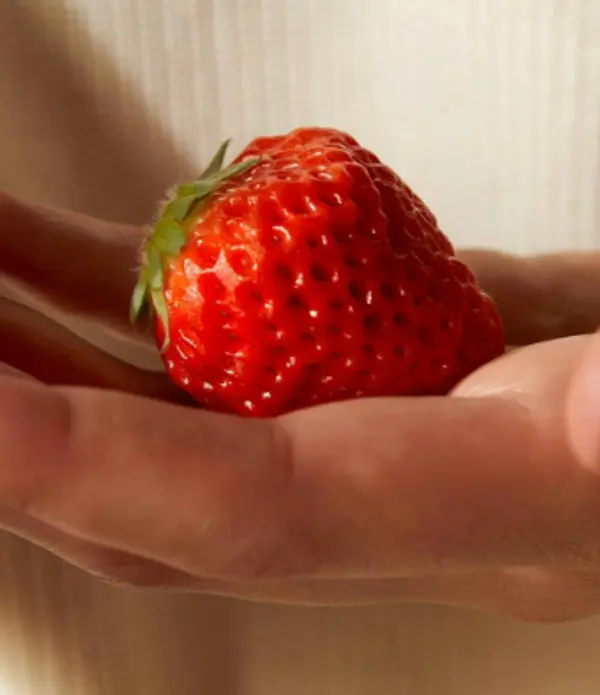 image of a single Omakase berry in hand