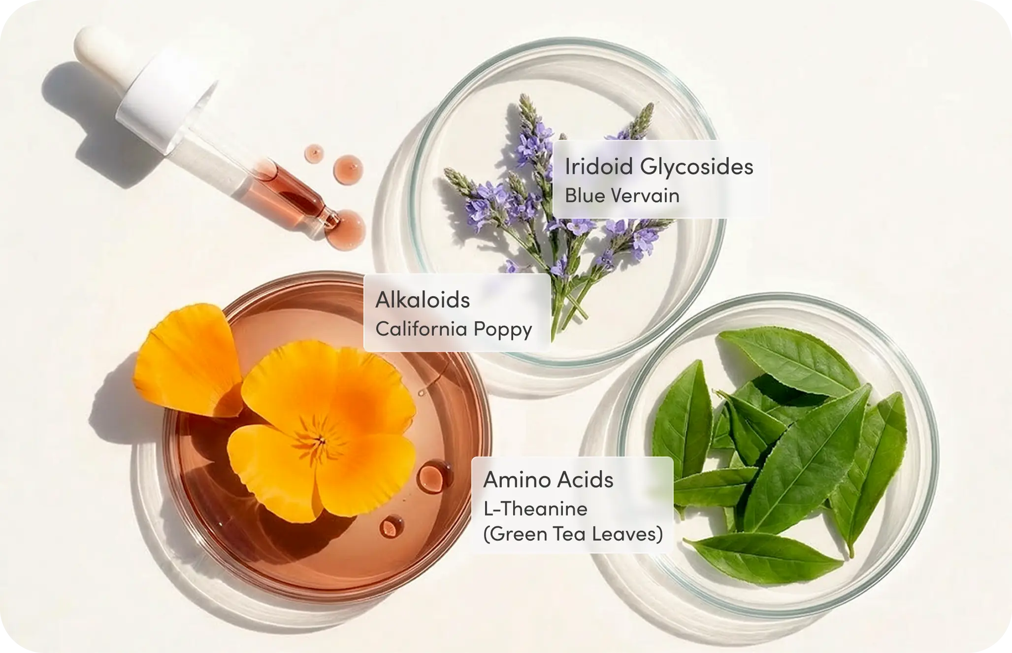 Wine Down Ingredients
