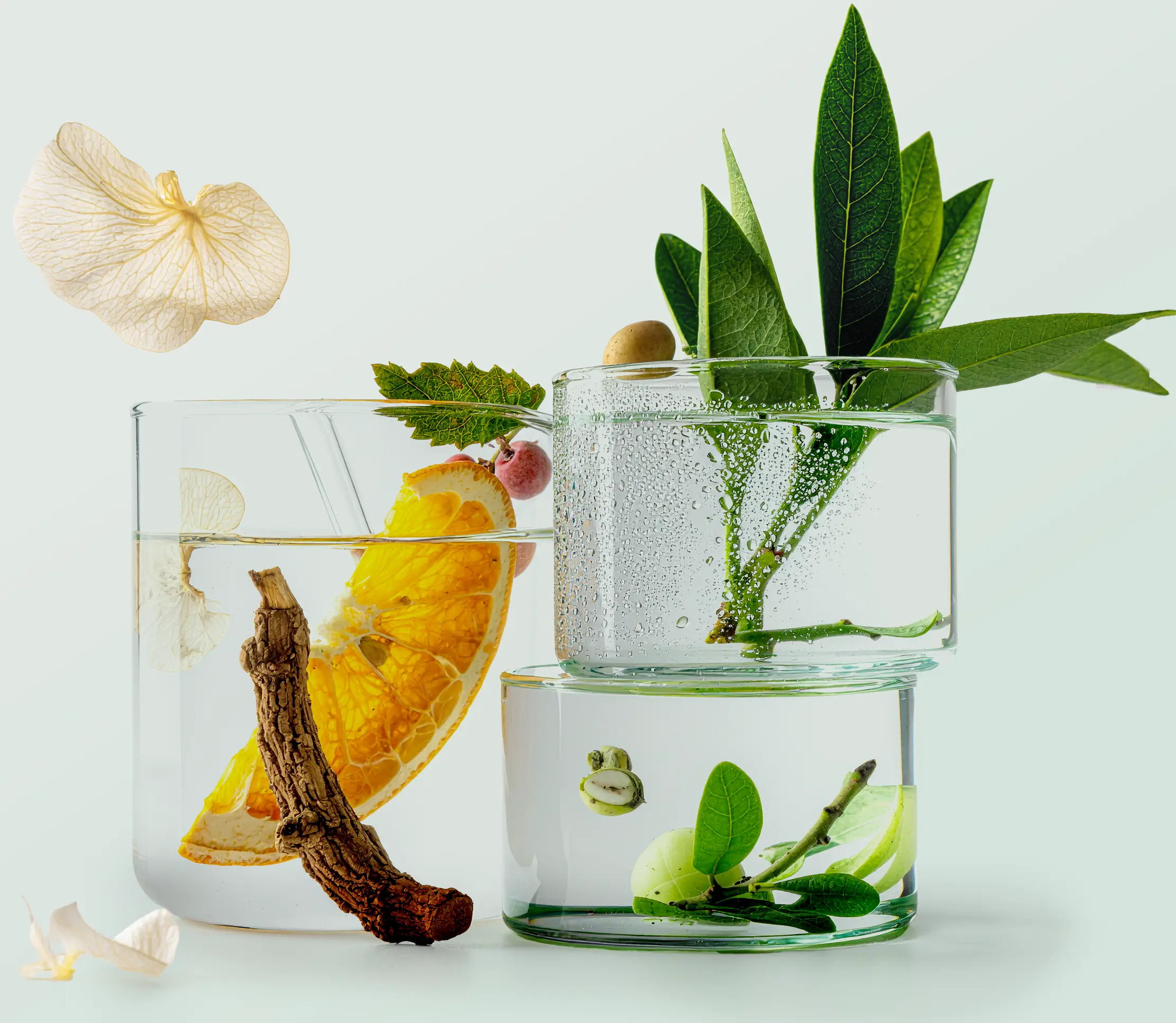 product showcase of Blue Burn and Mindcraft