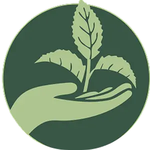 Noriko icon - a hand holding up a leaf