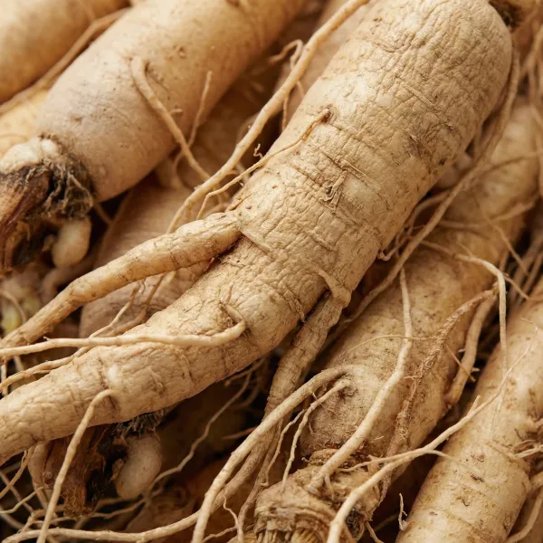 Eleuthero root image