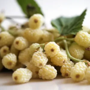 White Mulberries