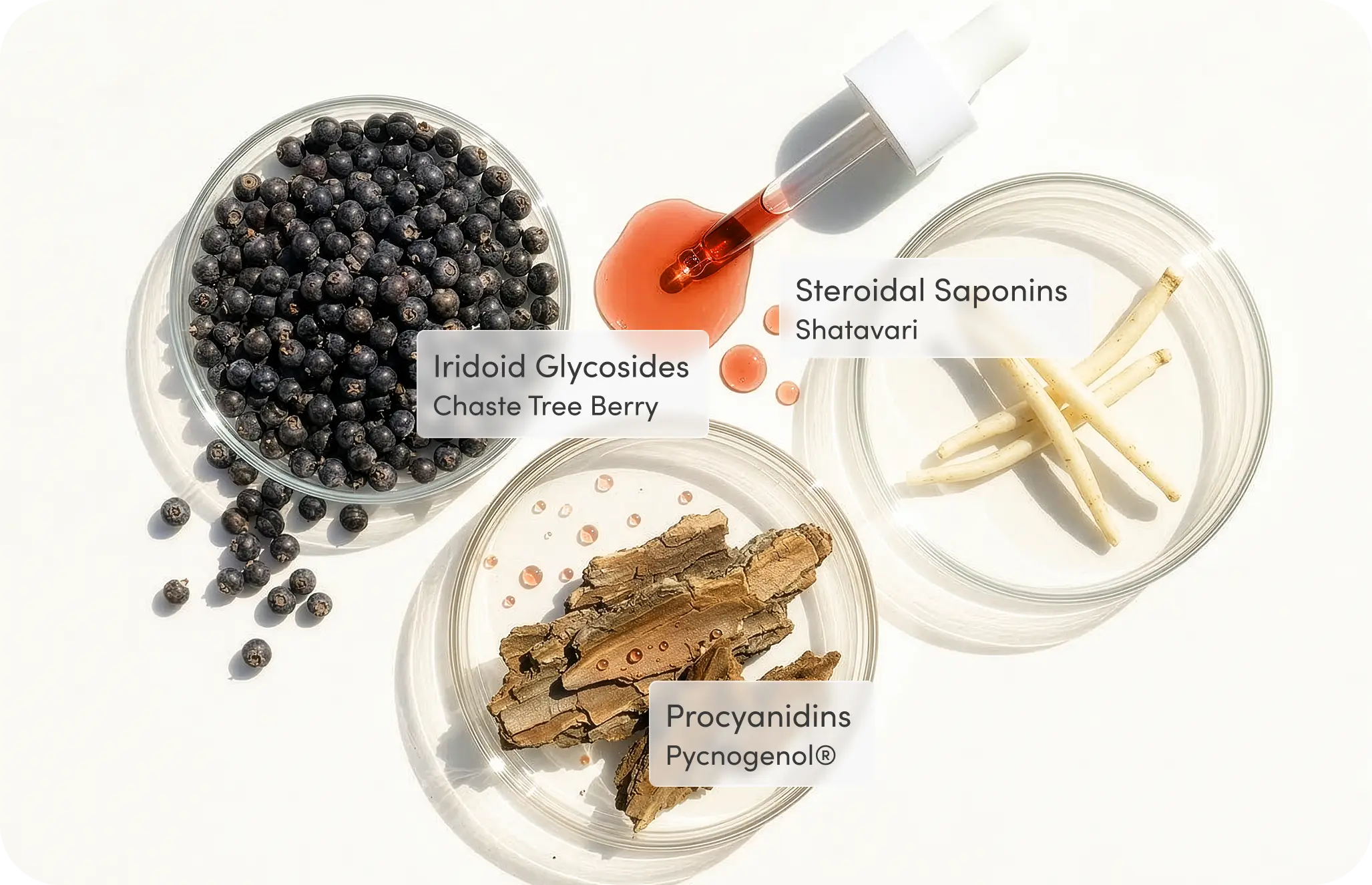 Every Phase Ingredients