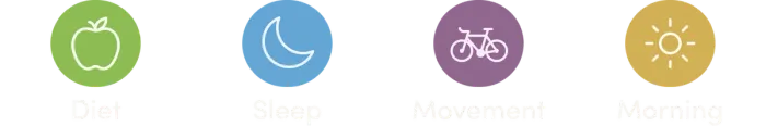 Noriko app wellness categories: Diet, Sleep, Movement, and Morning ritual icons. Noriko app wellness categories: Diet, Sleep, Movement, and Morning ritual icons.