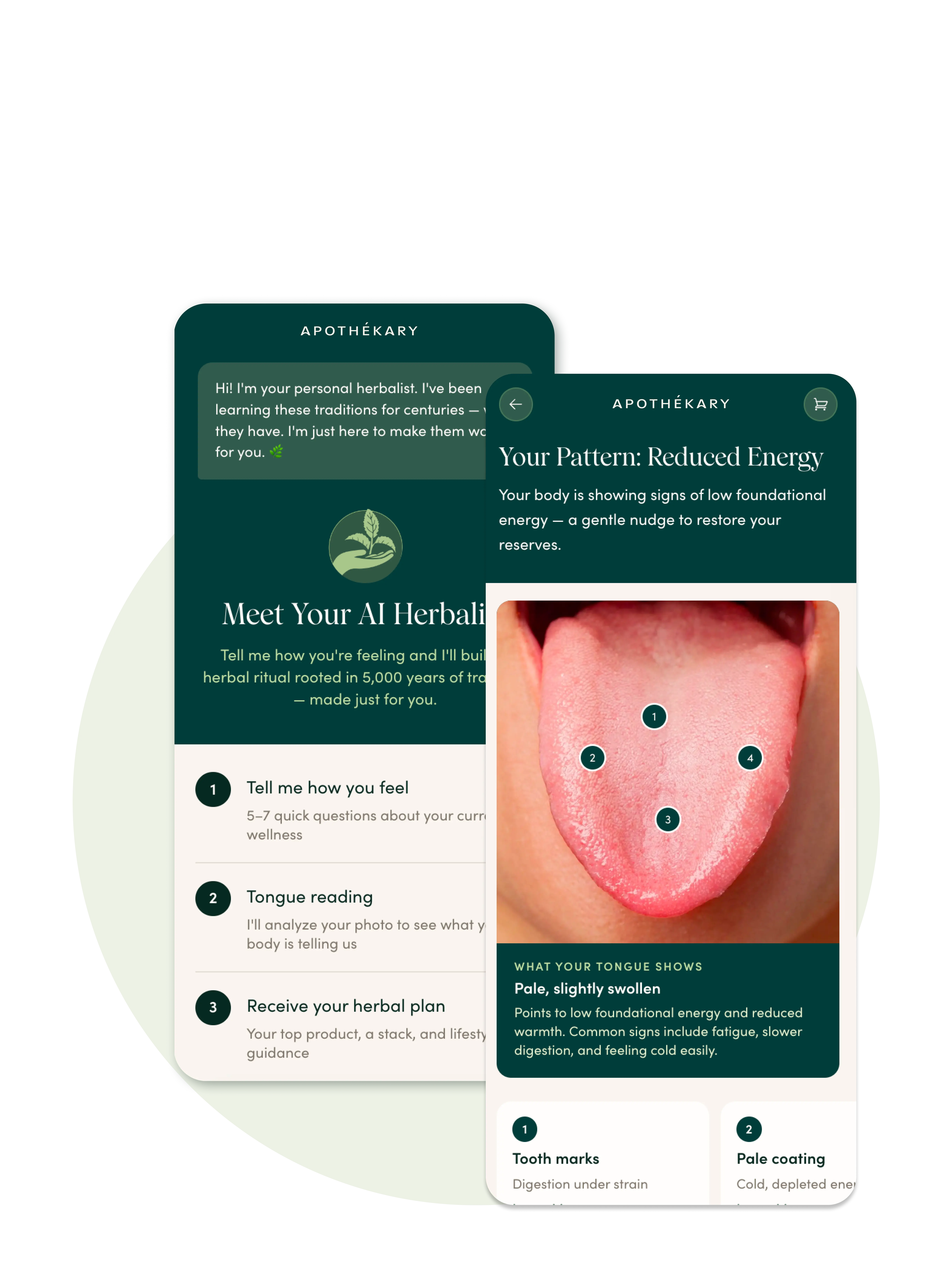 Noriko annotated tongue image