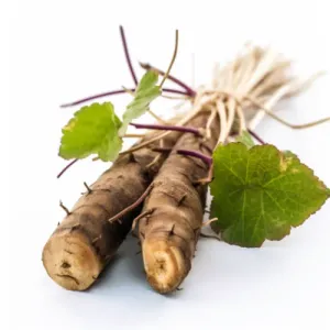 Burdock Root