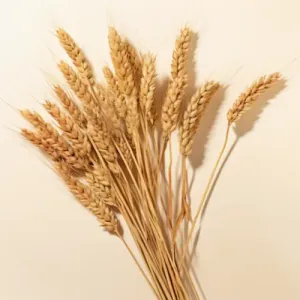 Oatstraw