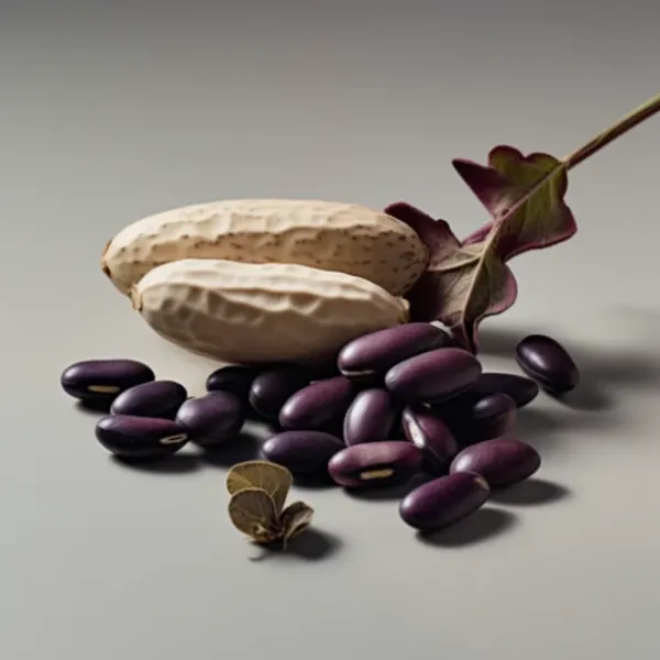 Mucuna seeds
