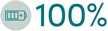 100% Icon