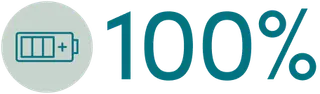 100% Icon