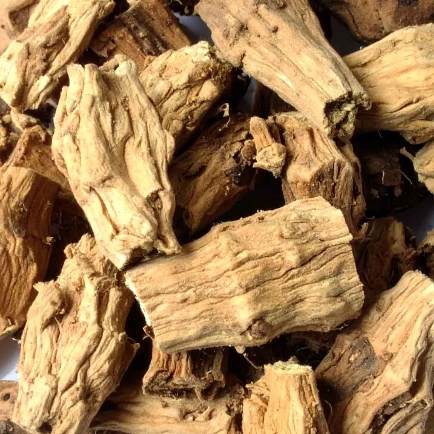 Gentian Root plant image