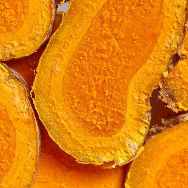 image of turmeric roots