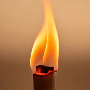 Photo of a piece of wood on fire representing Fire