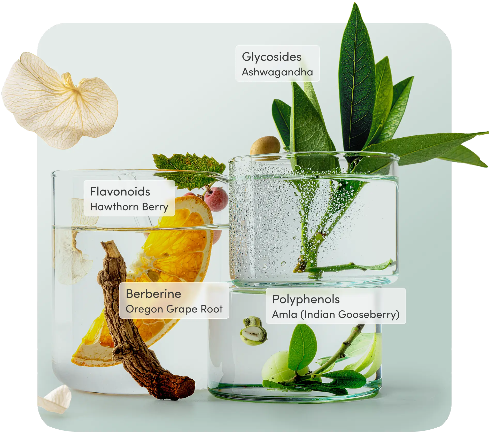 image of girl meditating