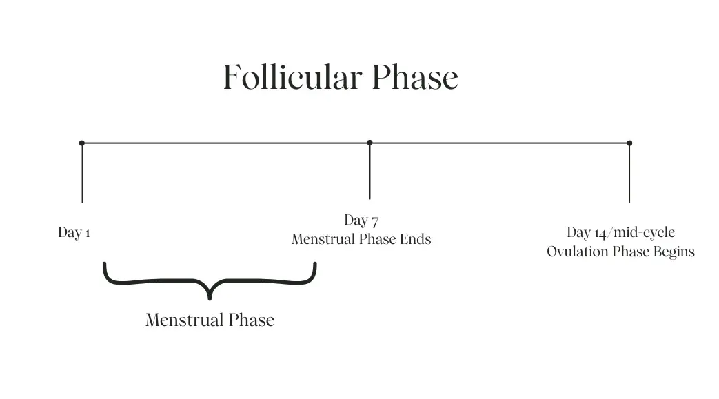 timeline