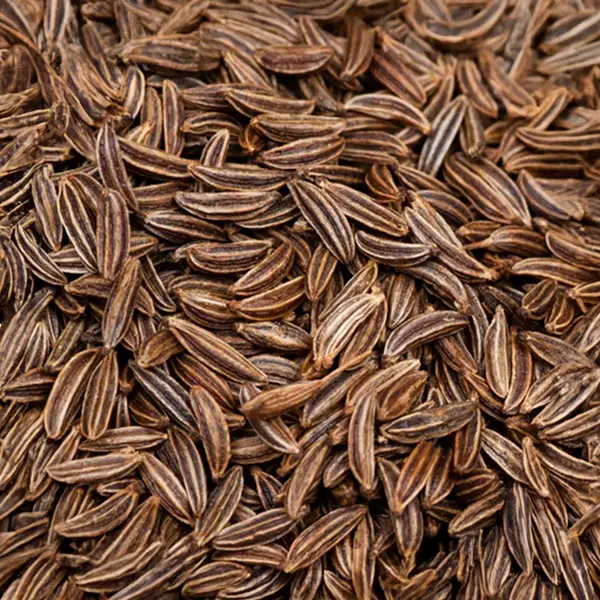 Image of caraway seeds
