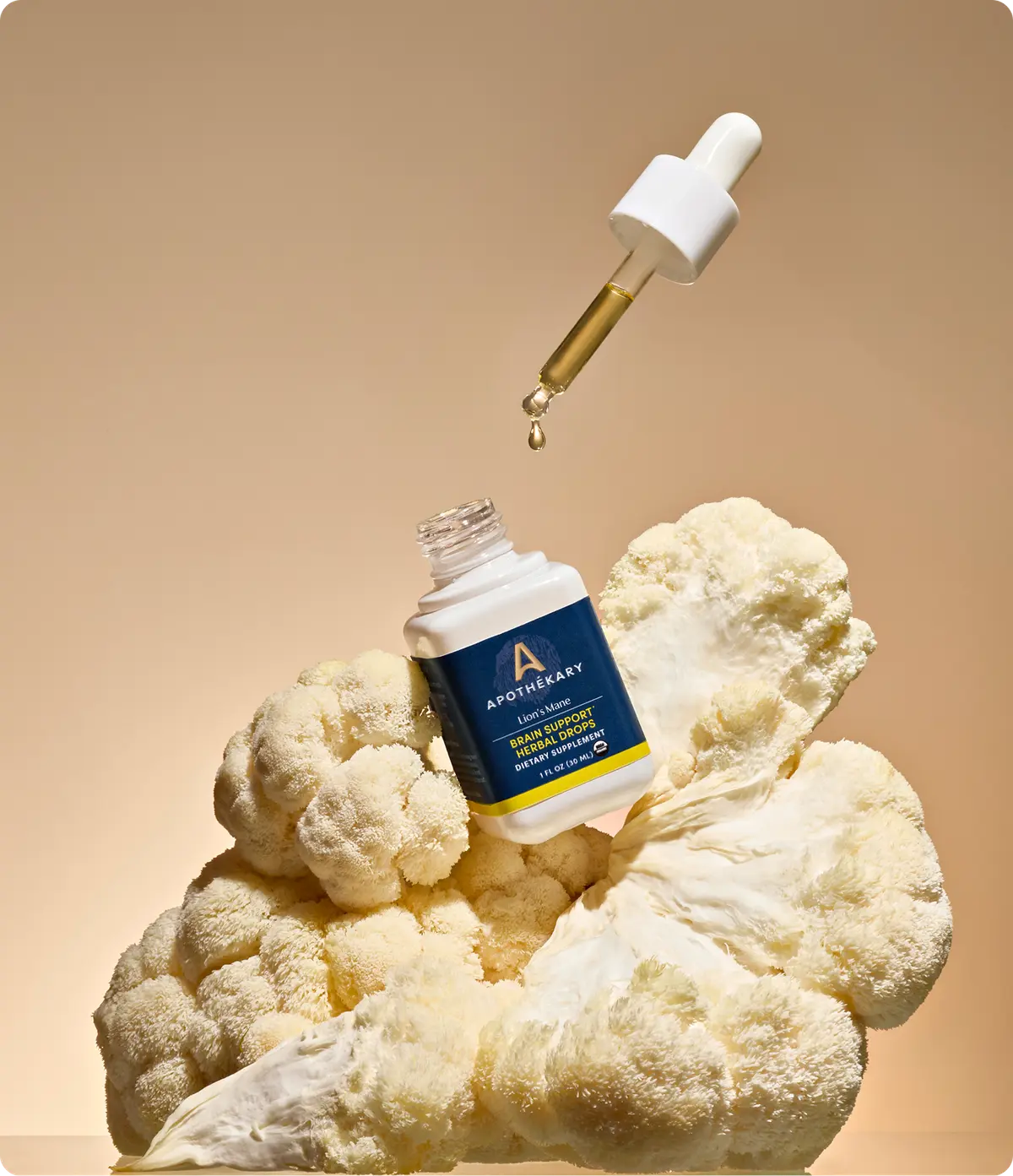 Lion’s Mane Origin Extracts