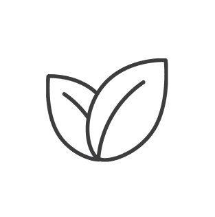 Icon of two leaves Icon of two leaves