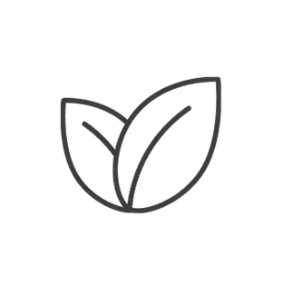 Icon of two leaves Icon of two leaves