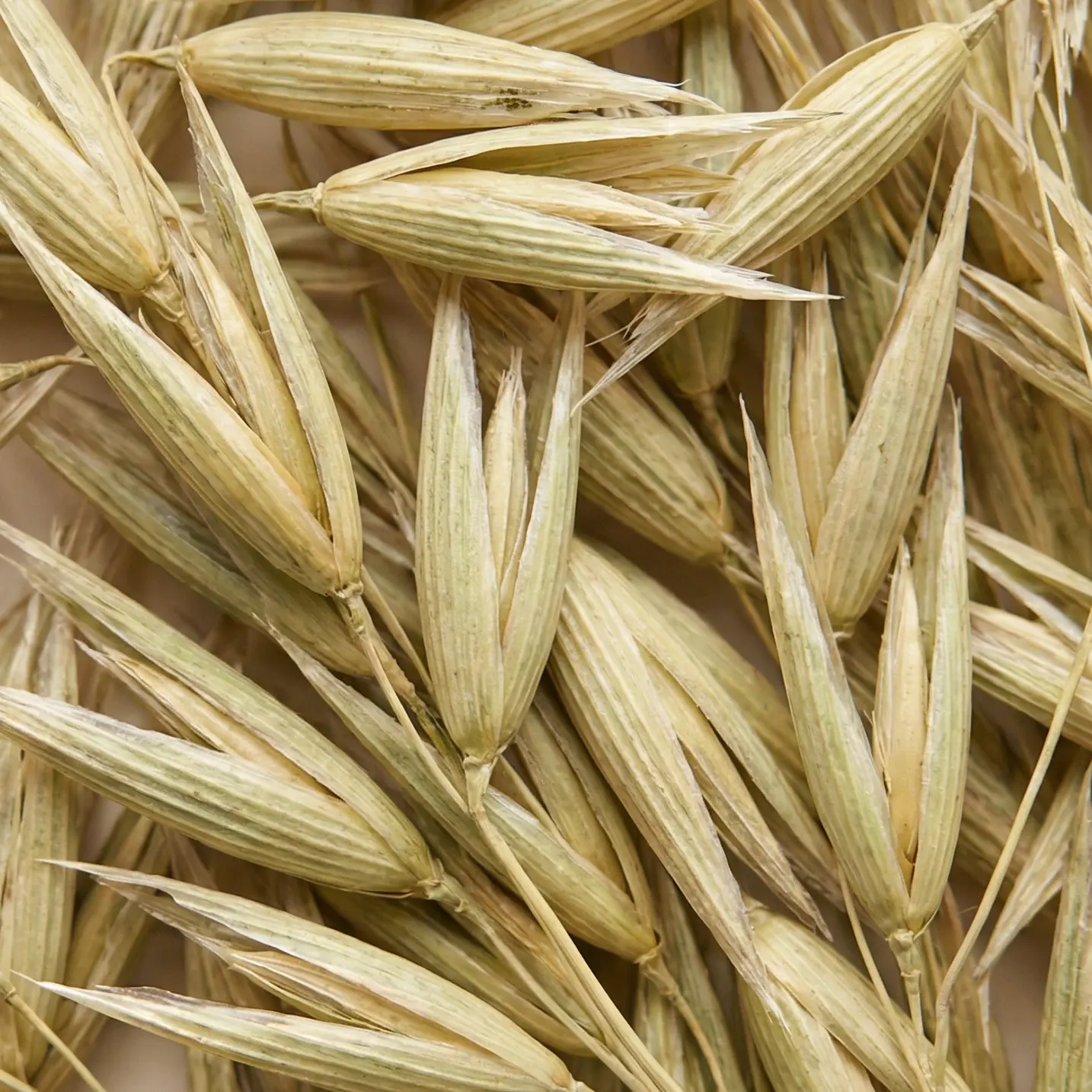 Oatstraws image
