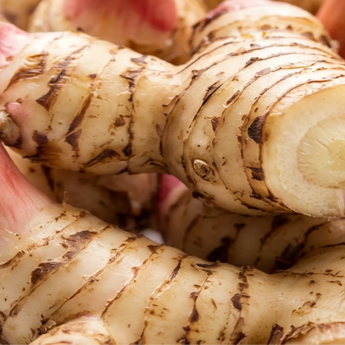 Galangal Root image