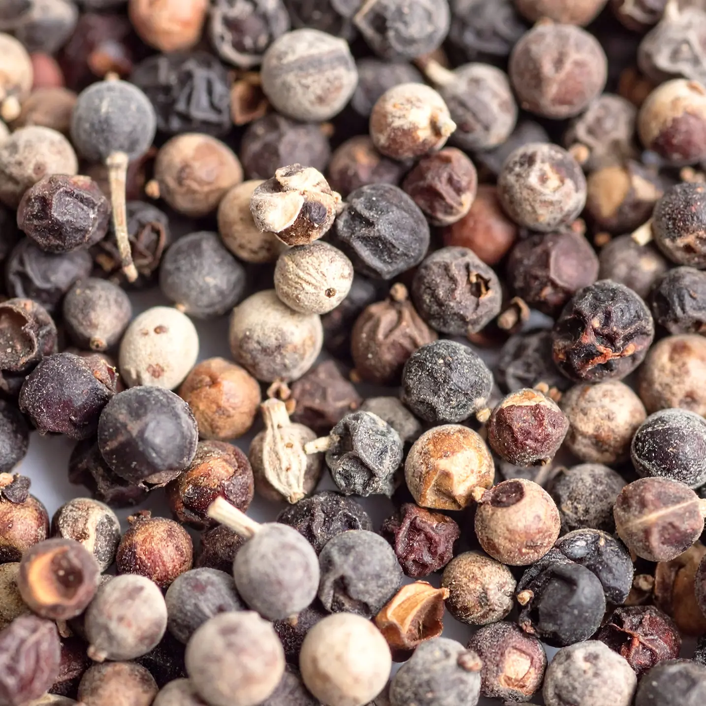 image of Chaste Tree Berry