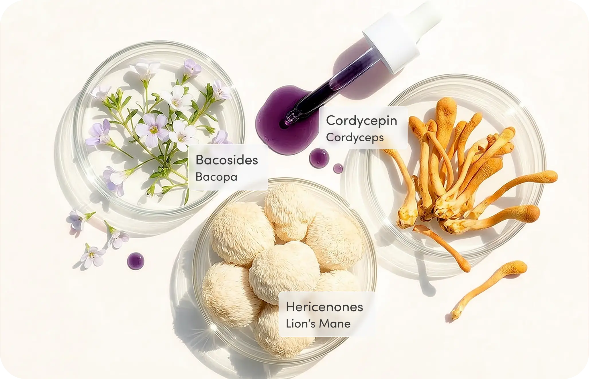 Mindcraft Ingredients