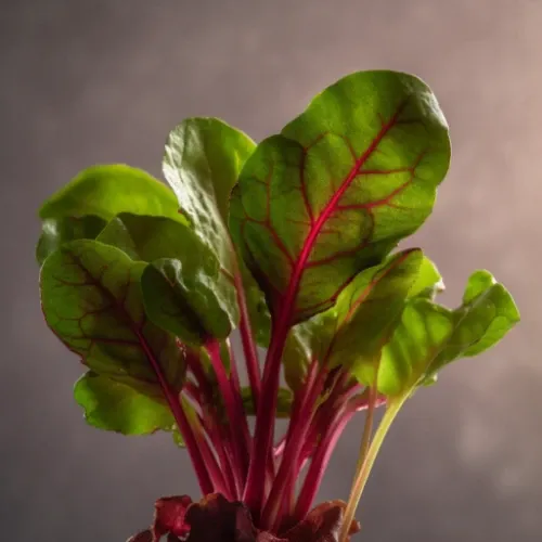 Image of a Beetroot