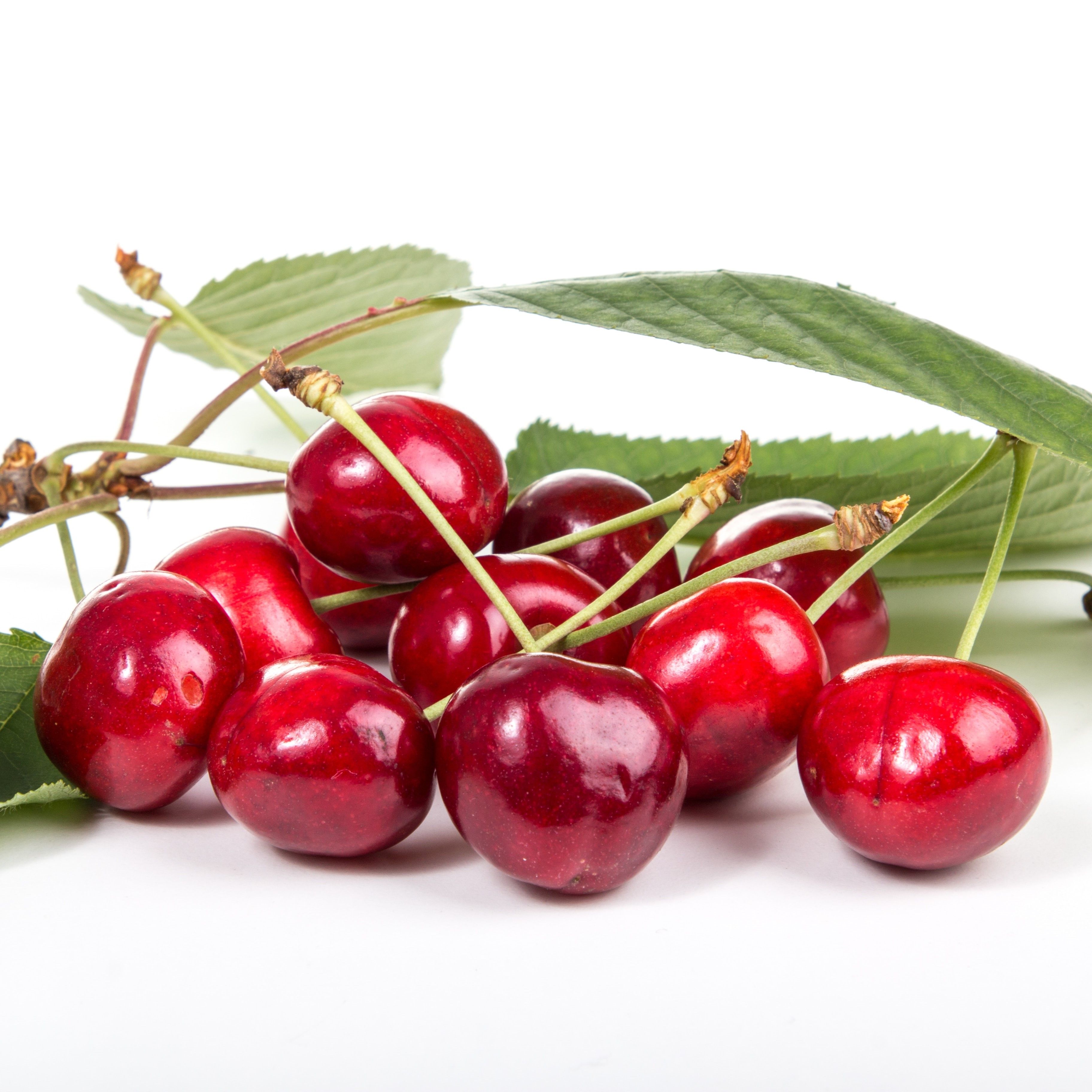 Tart Cherry fruit image