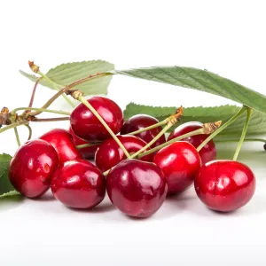 tart cherry