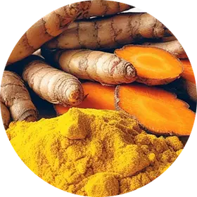 Turmeric Photo