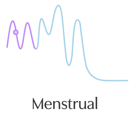 Menstrual Graphic Menstrual Graphic
