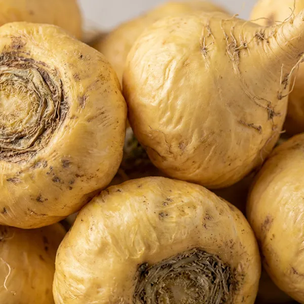 Maca Root image