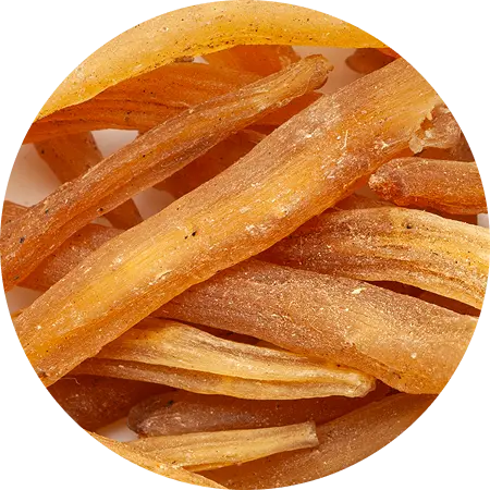 Shatavari Root Photo Shatavari Root Photo