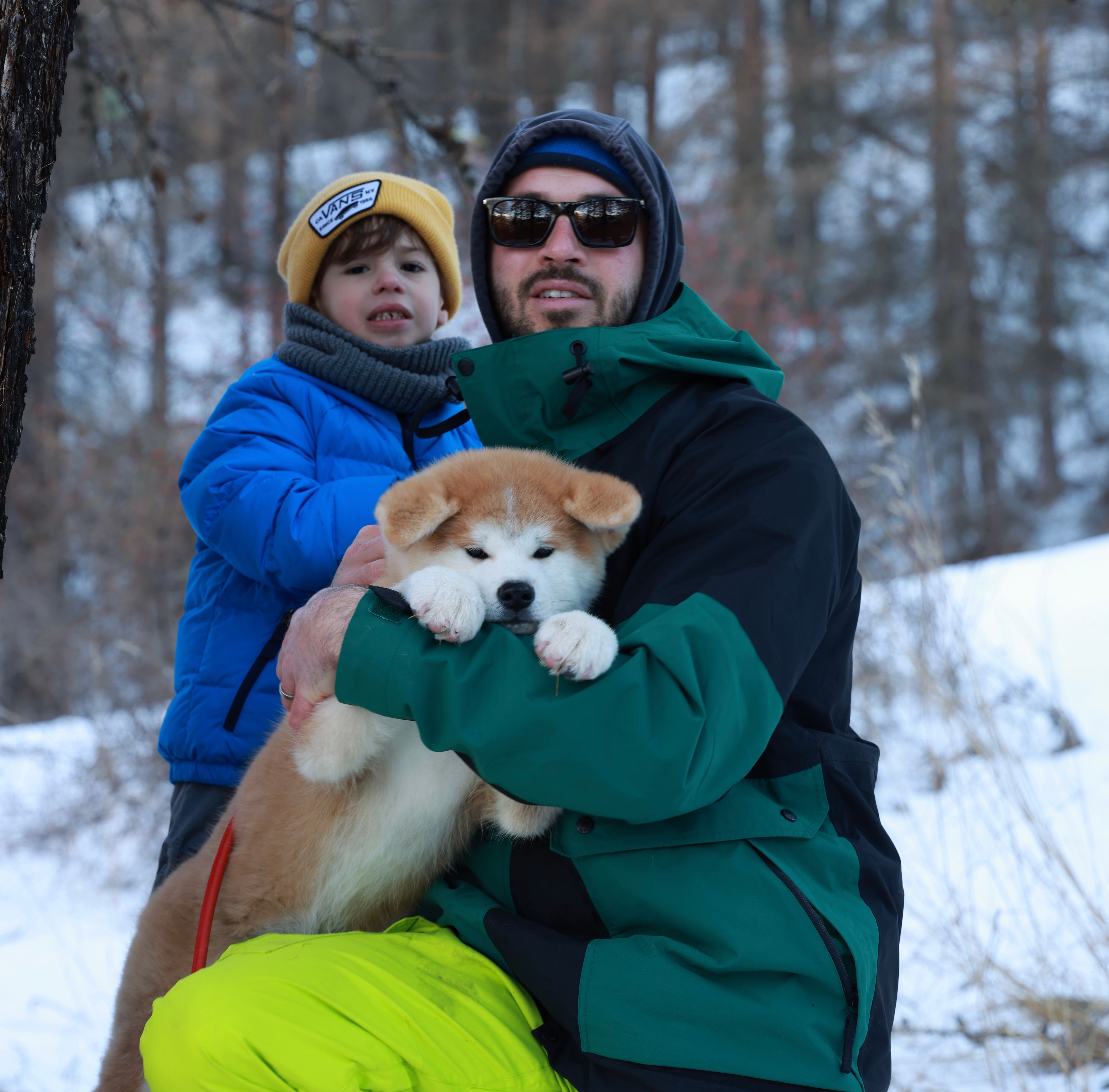 Akita in love 14