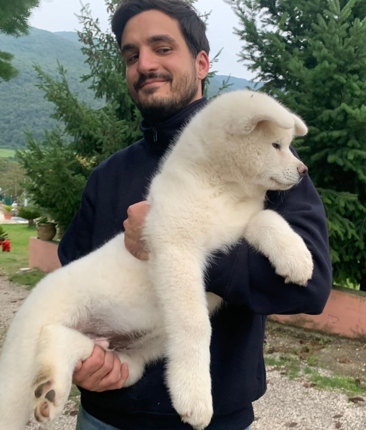 Akita nelle famiglie — foto 8