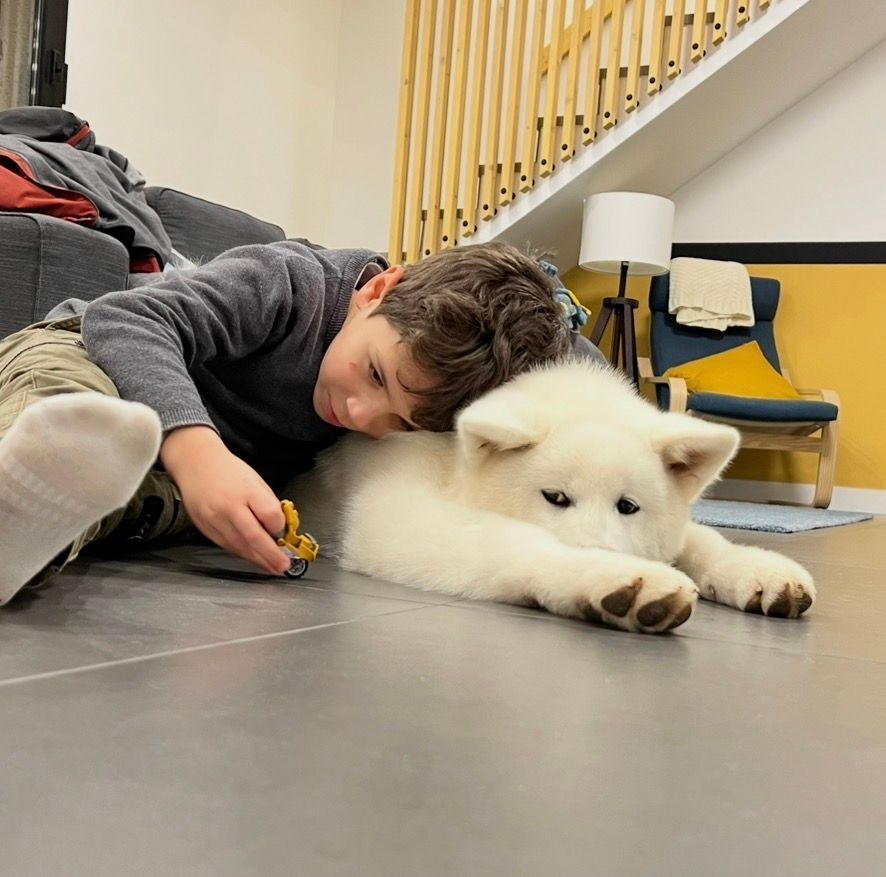 Piccoli allevatori crescono 19