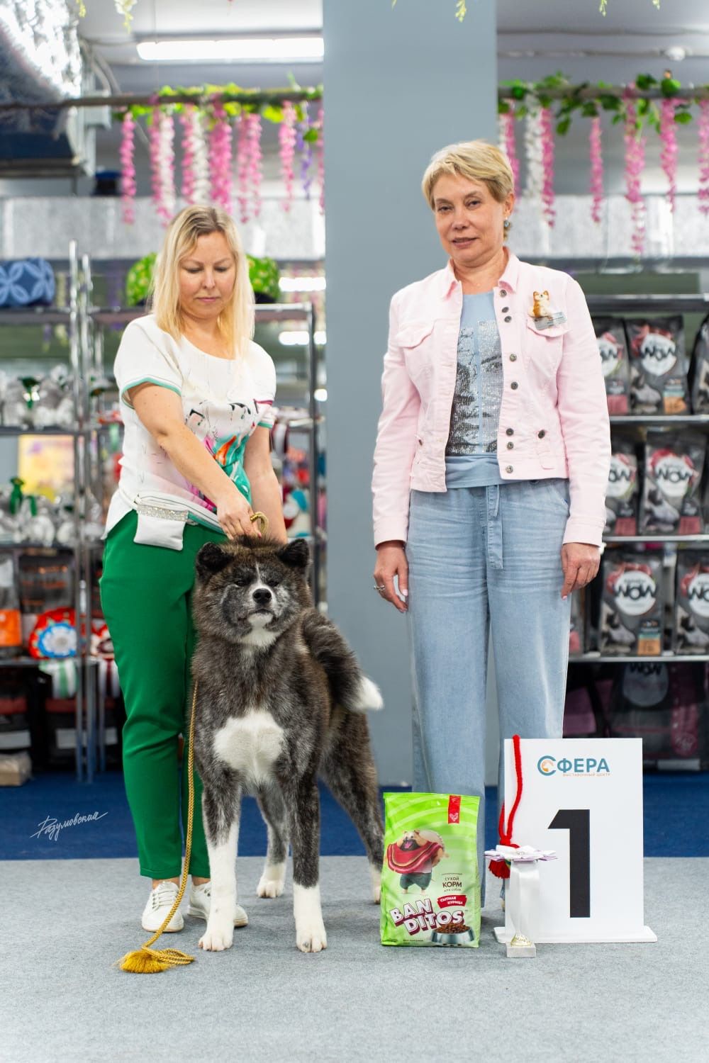 Akita in esposizione 48