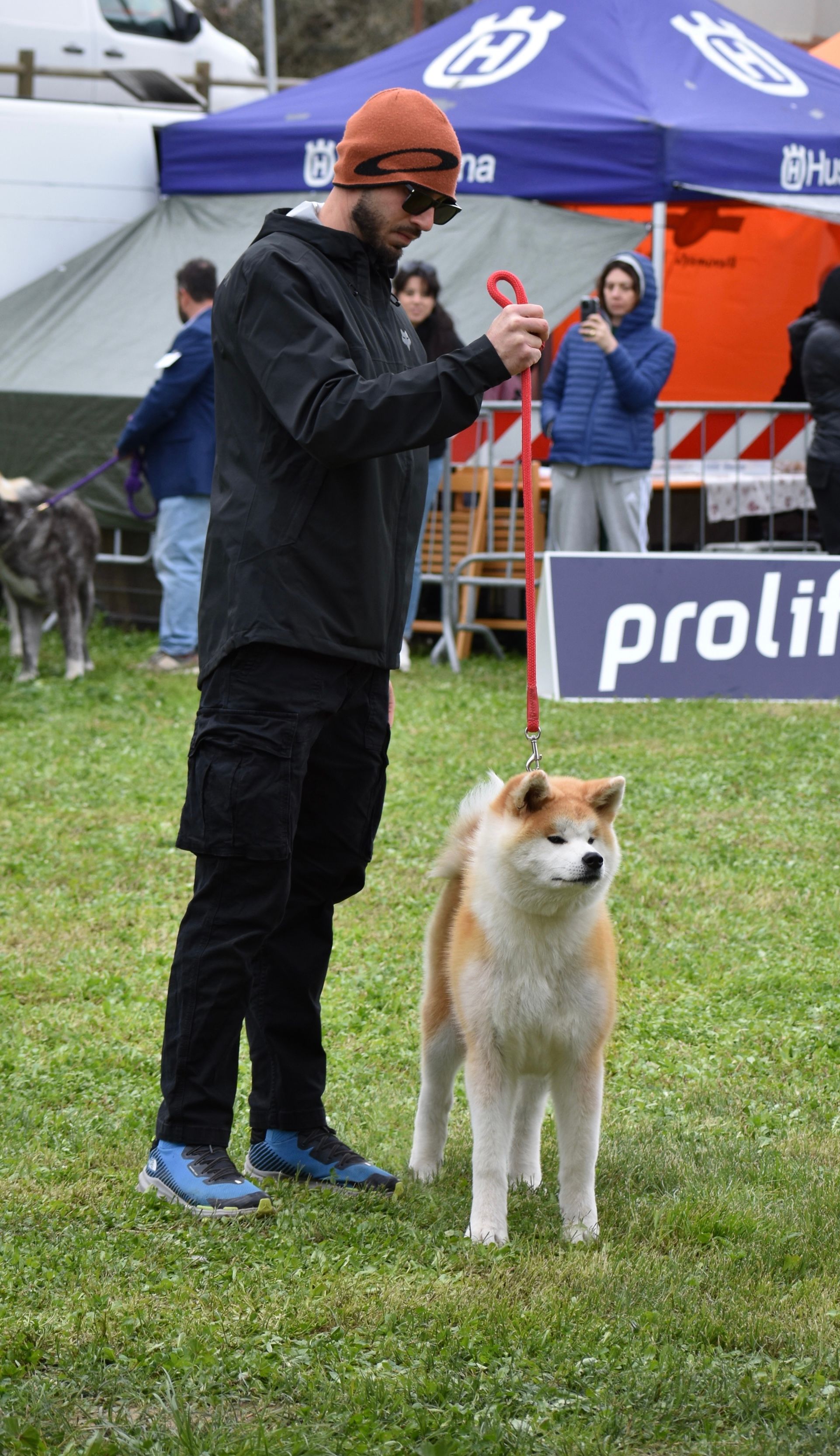 Akita in esposizione 77