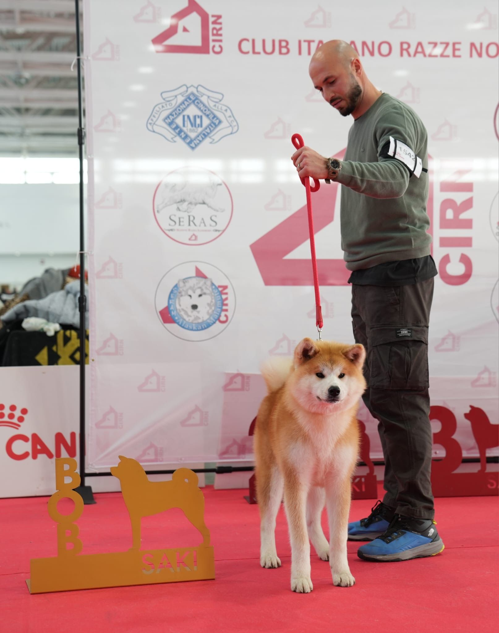 Akita in esposizione 82