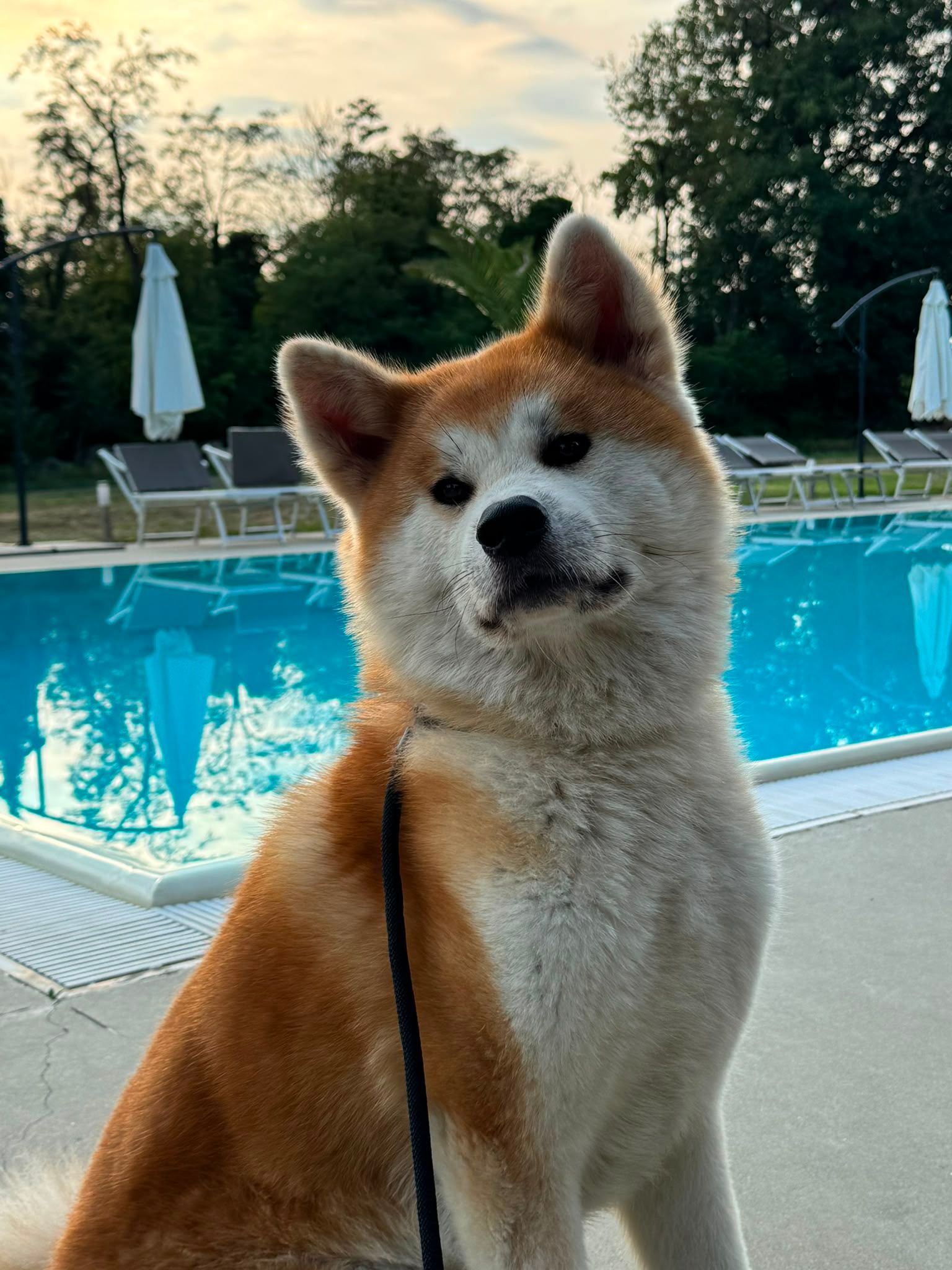 Kaori — foto 7