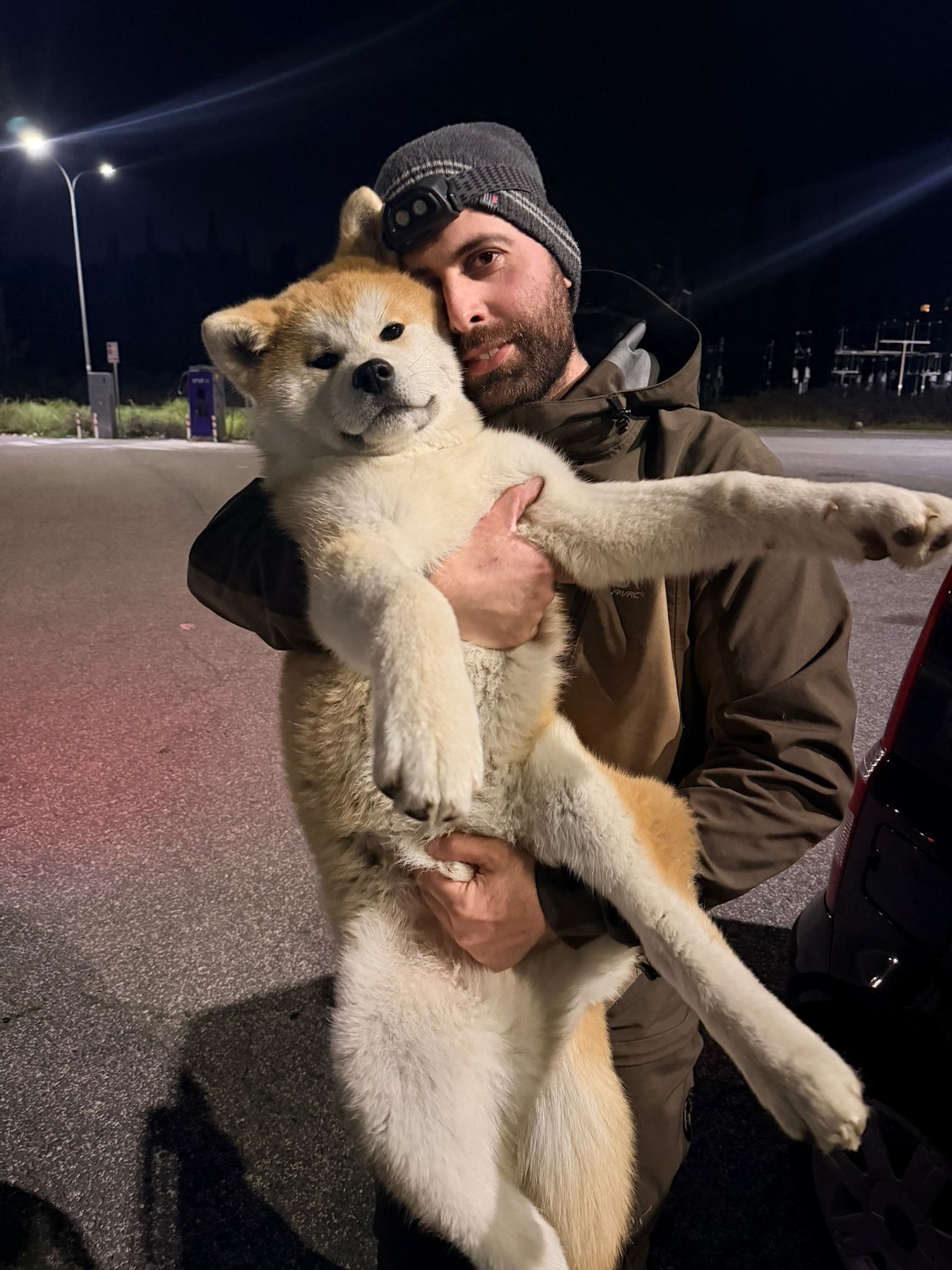 Akita in love 22