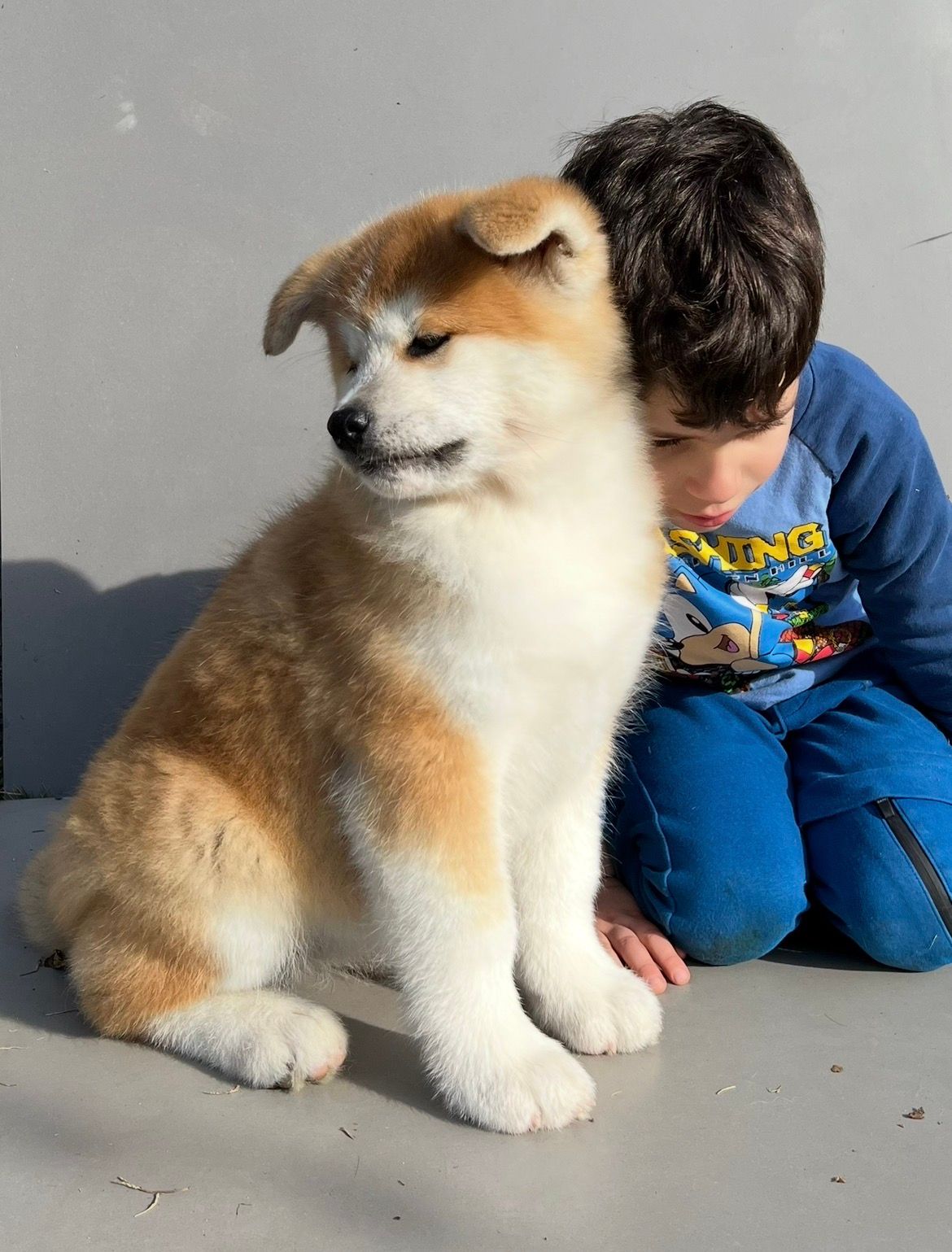 Piccoli allevatori crescono 14