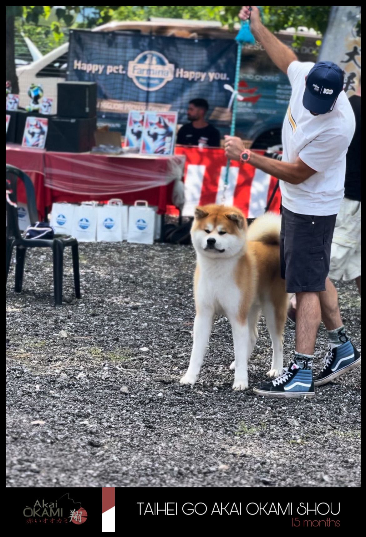Taihei — foto 6