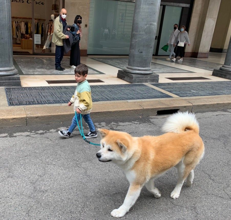 Piccoli allevatori crescono 16