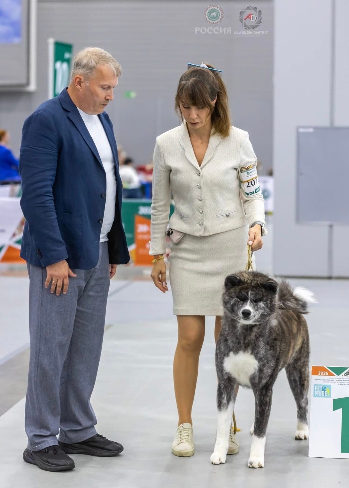 Akita in esposizione 97