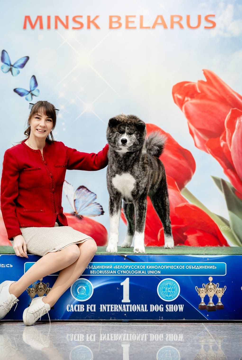 Akita in esposizione 57