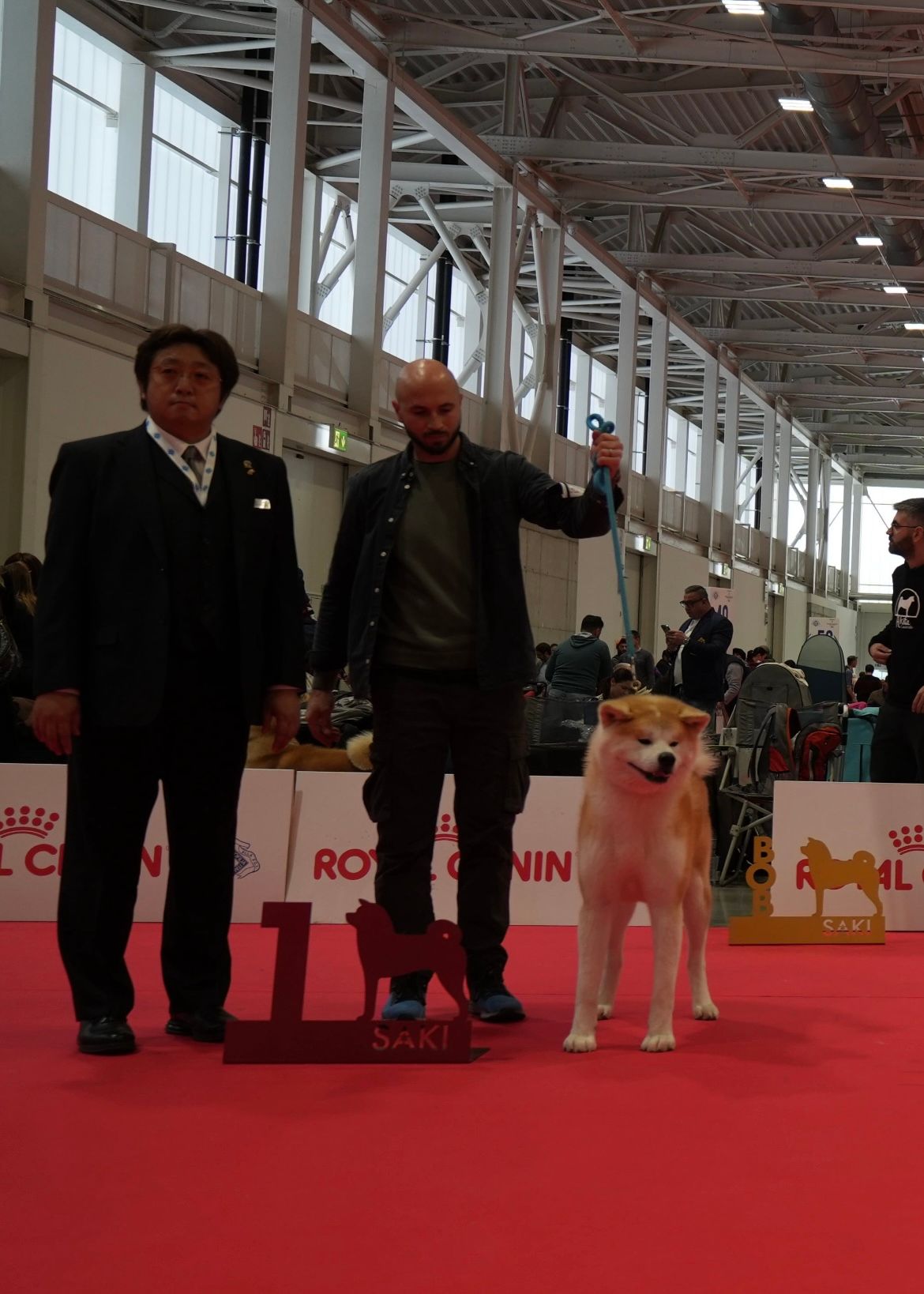 Akita in esposizione 36