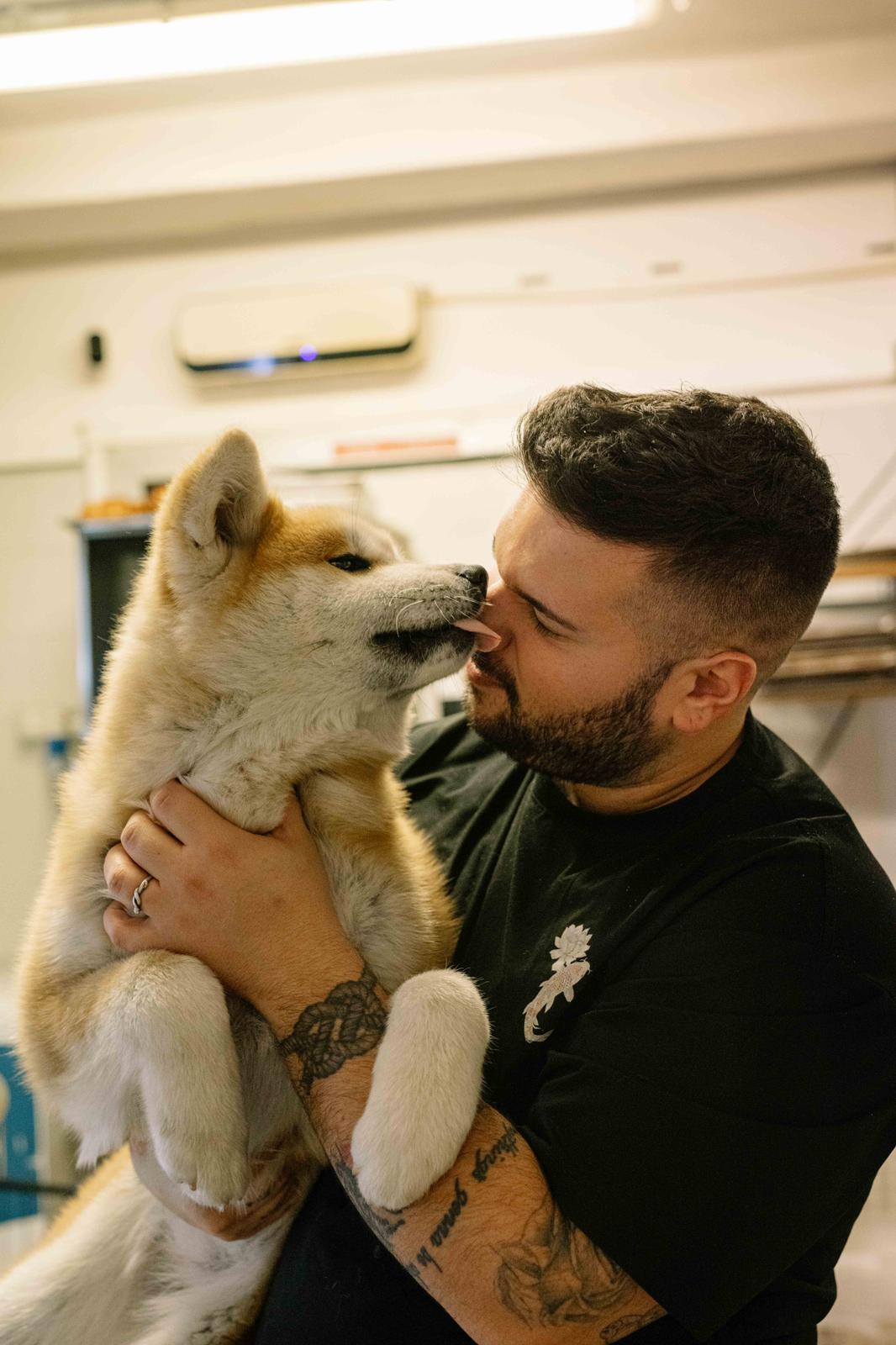 Akita nelle famiglie — foto 23