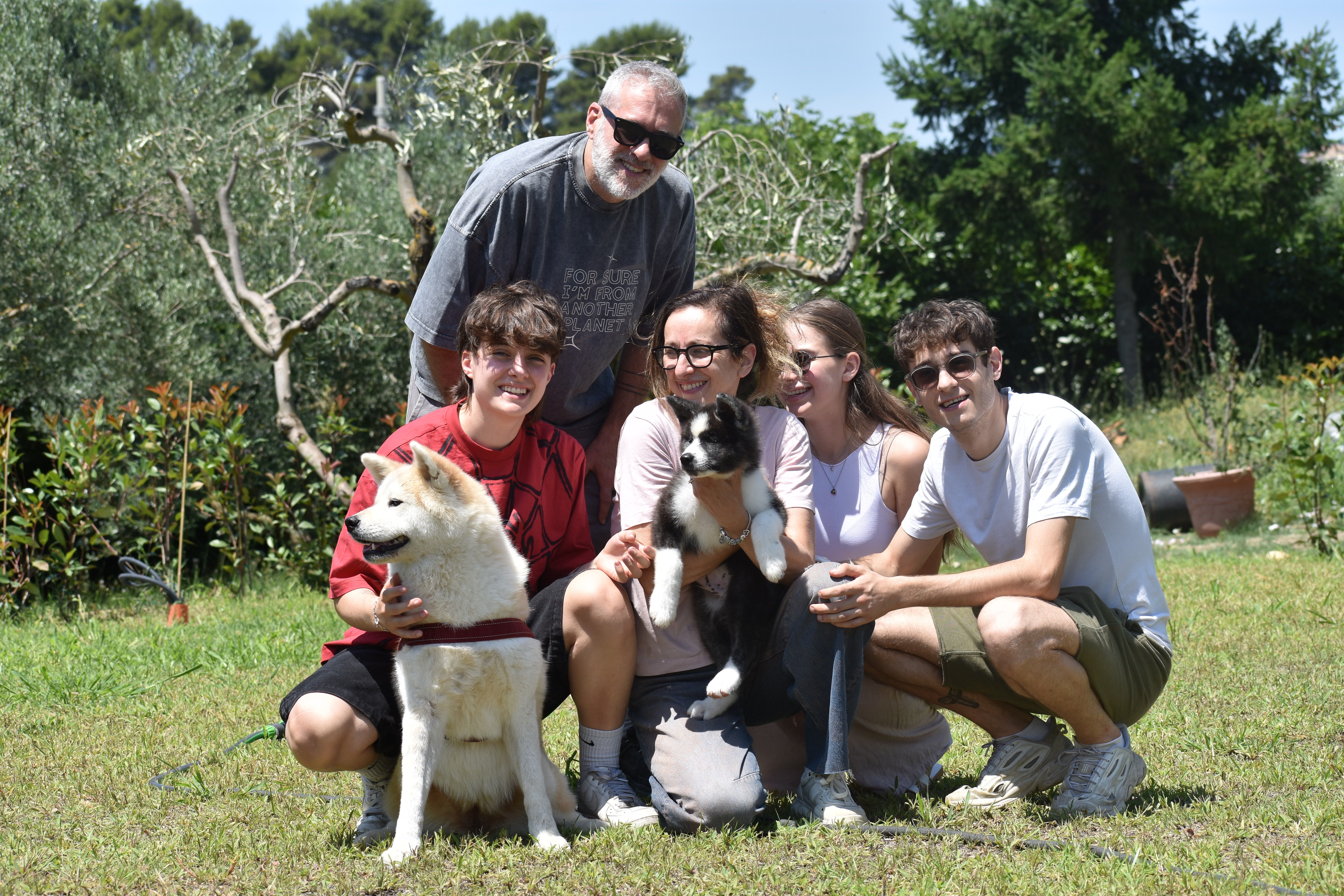 Akita nelle famiglie — foto 25